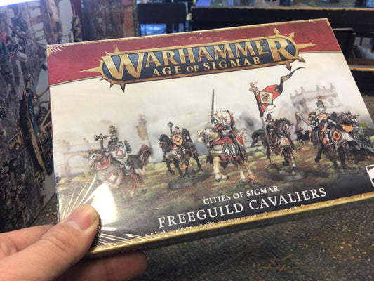 Warhammer Age of Sigmar Freeguild Cavaliers