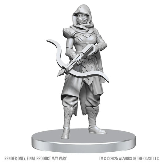 D&D Nolzur's Marvelous Miniatures: Assassin & Berserker